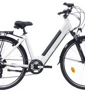 Elan E-City TRK Alluminio 28" Ammortizzata 7V V-Brake