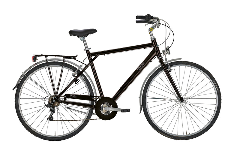 Bici Alpina Roxy Man 28