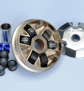 Variatore speed control (Polini) 241320