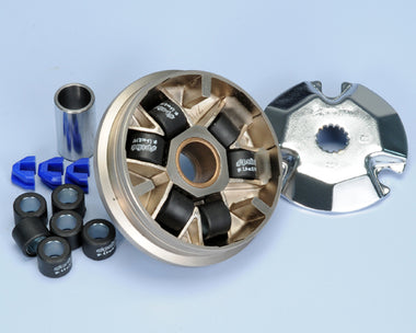 Variatore speed control (Polini) 241320