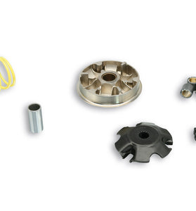 Variatore Multivar 2000 Malossi 5111380