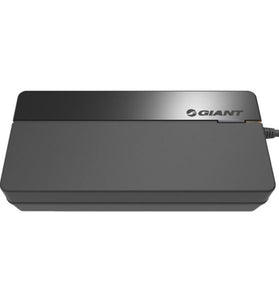 Caricabatterie Giant EnergyPak Smart Charger 6A
