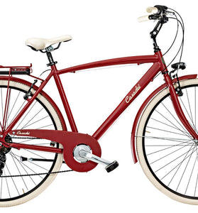 Bici Cottage 28 Uomo 6V Alluminio