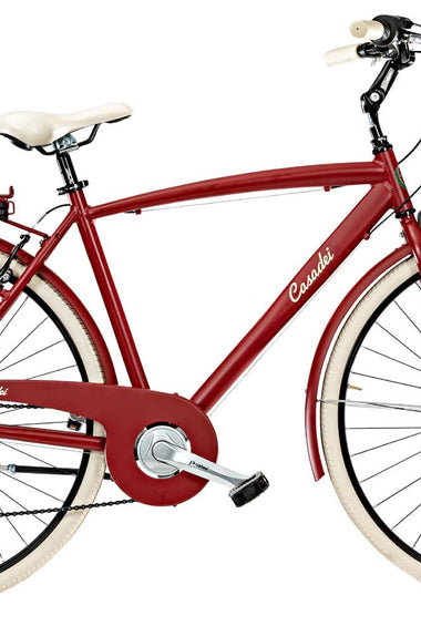 Bici Cottage 28 Uomo 6V Alluminio