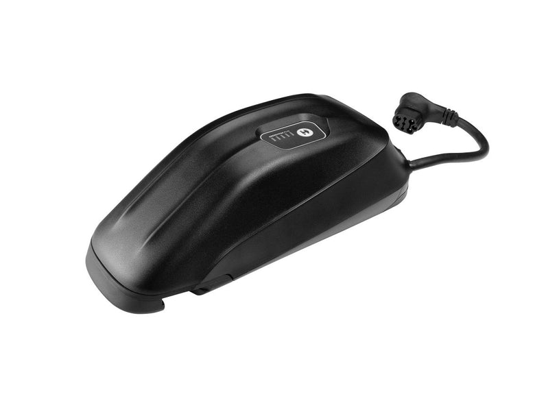 Giant EnergyPak Plus - Estensione Batteria