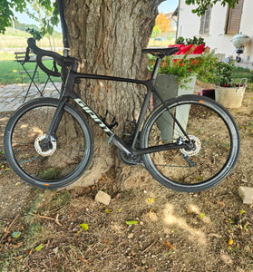 Giant TCR Pro Disc Tg L