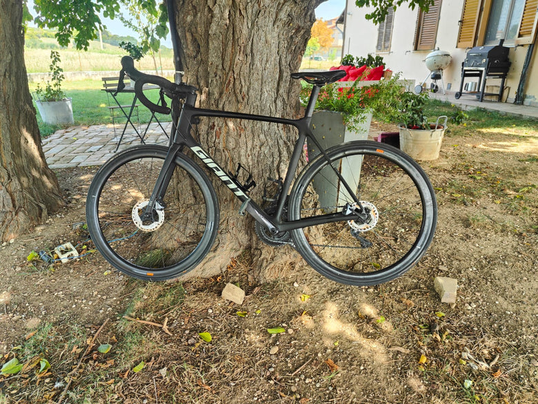 Giant TCR Pro Disc Tg L