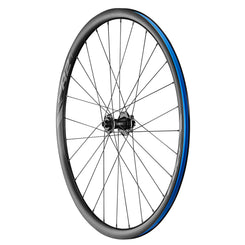 Ruote Giant PR2 Disc