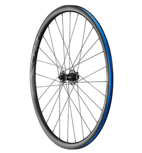 Ruote Giant PR2 Disc
