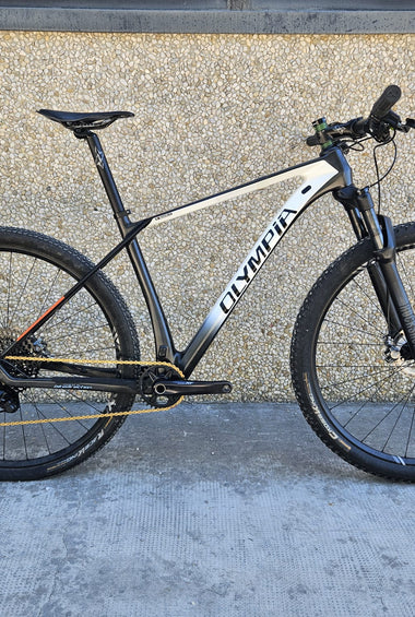 Bici Olympia F1 MTB Usata