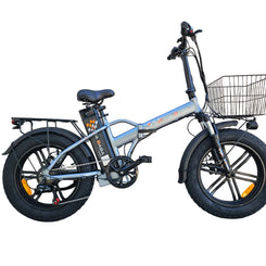 eFat Bike 20 Economica