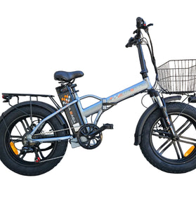eFat Bike 20 Economica