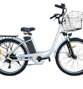 City Bike 26 Elettrica Economica