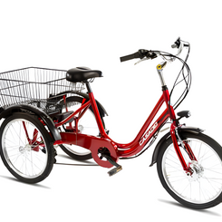 Cicli Record 3 Ruote 20" Elettrico