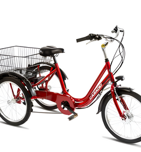 Cicli Record 3 Ruote 20" Elettrico